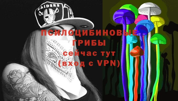 spice Балабаново