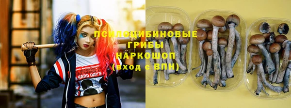 марихуана Баксан
