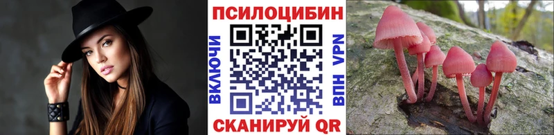 где найти наркотики Ершов Псилоцибиновые грибы MAGIC MUSHROOMS