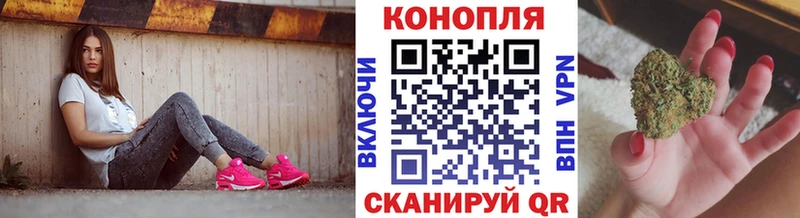 Канабис ГИДРОПОН Ершов